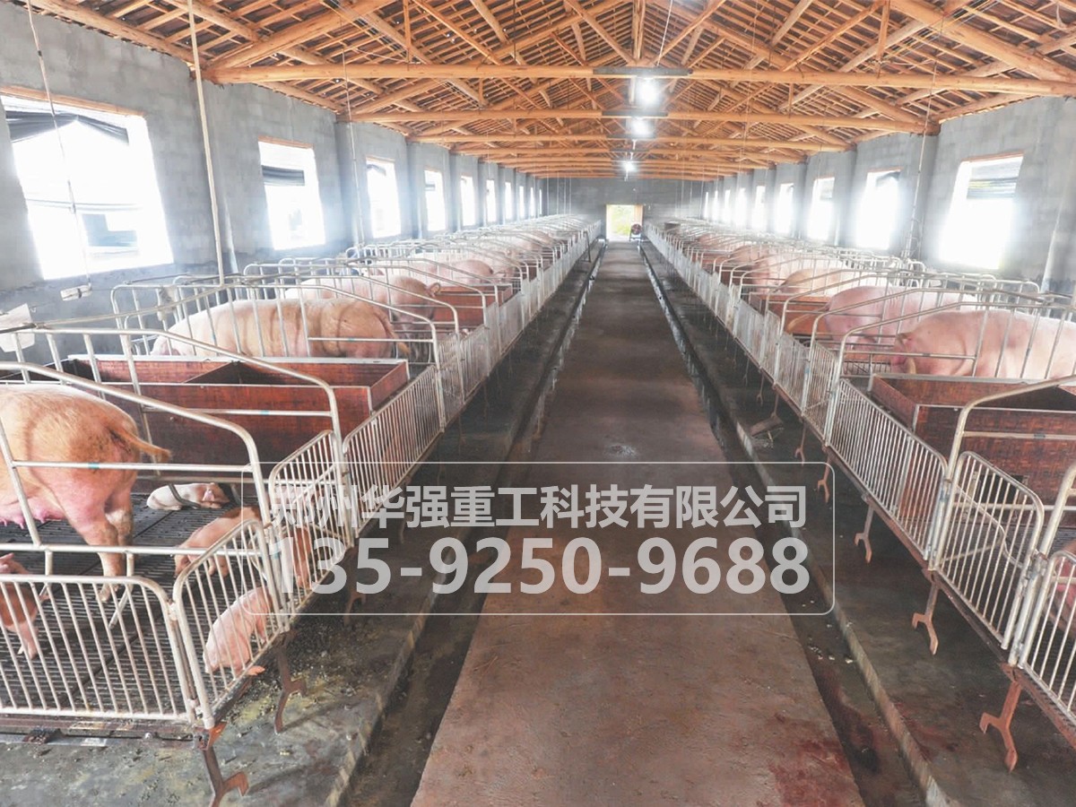 豬糞有機(jī)肥整套設(shè)備